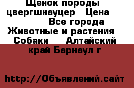 Щенок породы  цвергшнауцер › Цена ­ 30 000 - Все города Животные и растения » Собаки   . Алтайский край,Барнаул г.